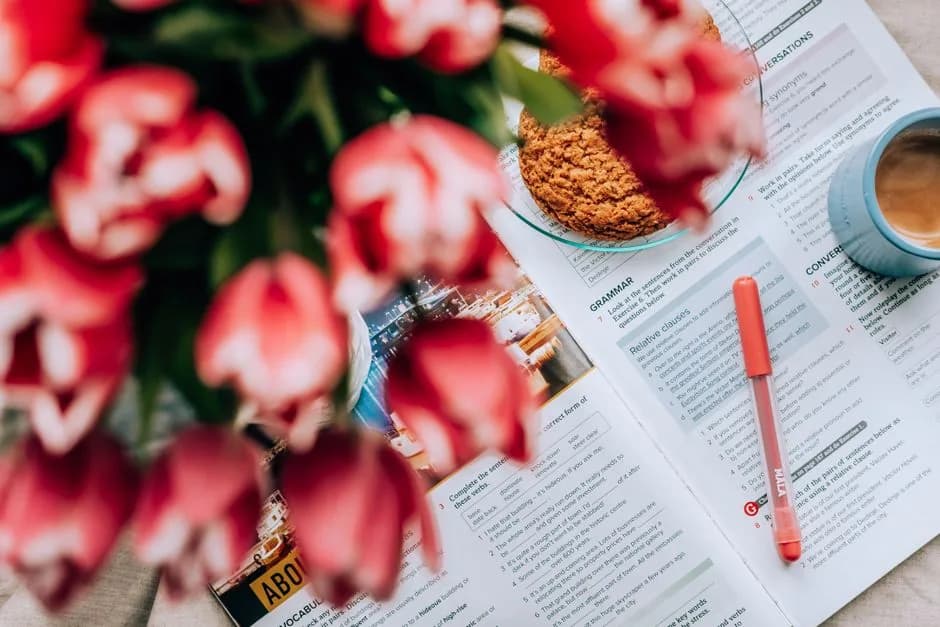 Polish cases overview study materials — grammar textbook and course notes on a desk — Photo by Julia Khalimova on Pexels