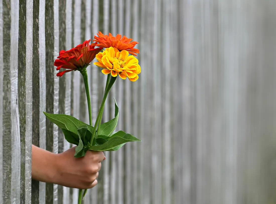 A hand offering a small bouquet of flowers as a gift