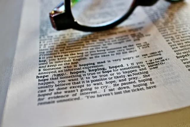 Close-up of a dictionary page showing a word definition