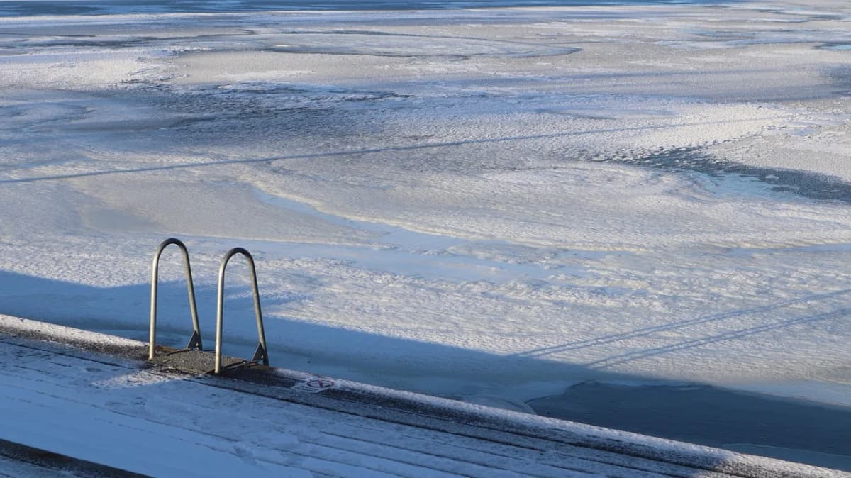 A steel ladder leading into an icy, frozen lake — the kind of entry point used for morsowanie