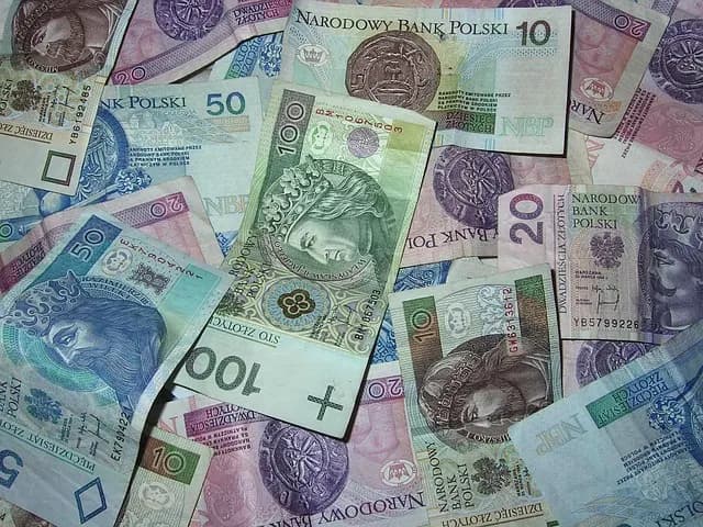 Polish zloty banknotes and coins, the currency most commonly used for leaving a napiwek