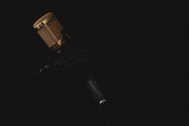 A studio microphone on a stand, the kind of setup a polish lektor voice artist would use