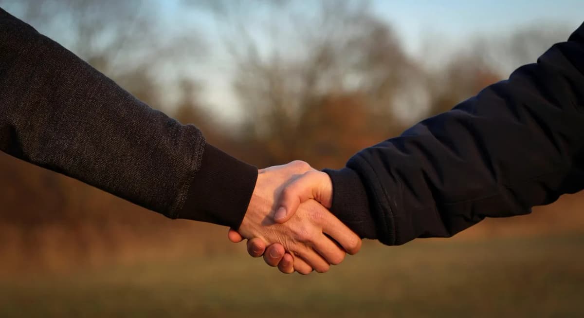 A handshake greeting — the moment several of these essential Polish phrases come in most useful