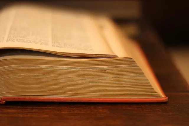 A vintage Polish-English dictionary open on a table, the kind of reference book that still cant fully capture words like doba or zal