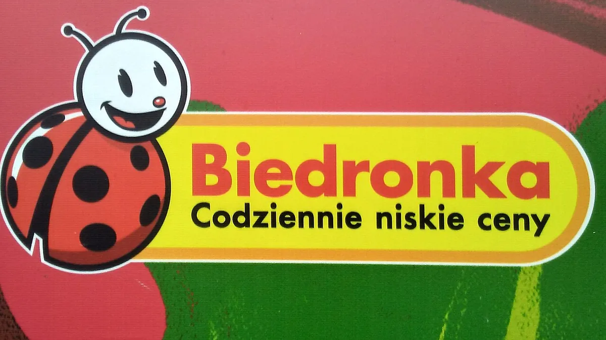 A close-up of the Biedronka logo, showing the cartoon red ladybird mascot beside the company name and its slogan "Codziennie niskie ceny"