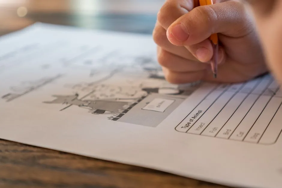 Student completing grammar practice exercises on a worksheet — Photo by Jessica Lewis on Pexels