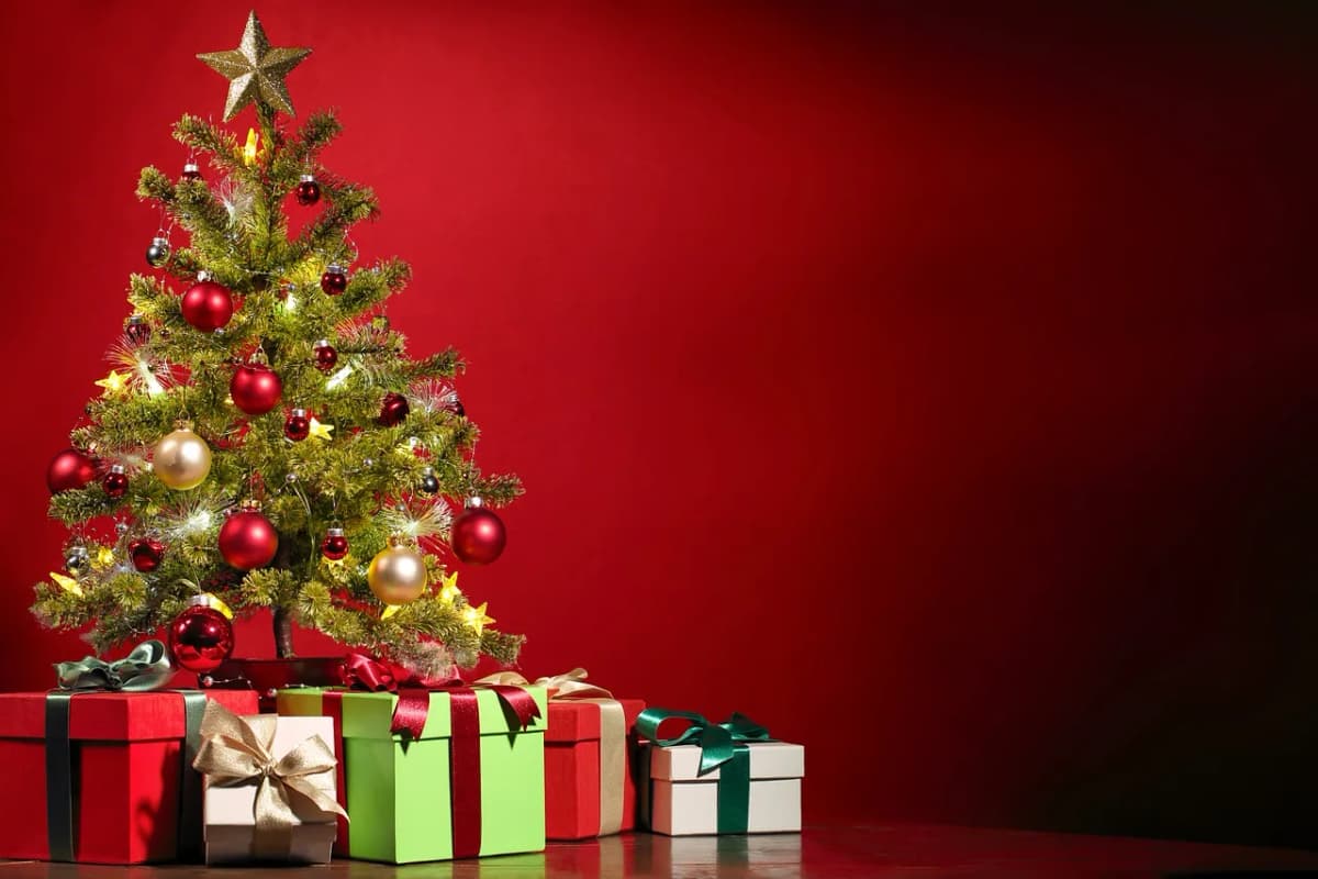 Presents wrapped and placed under a decorated Christmas tree