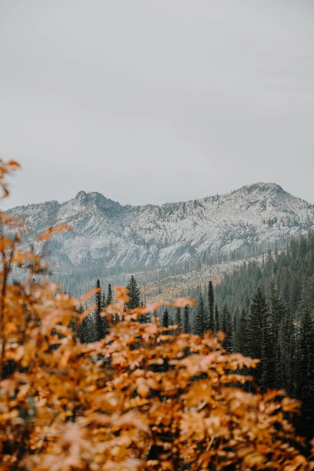 Scenic autumn mountain landscape in the Bieszczady region near Sanok, Poland — Photo by N/A on Pexels