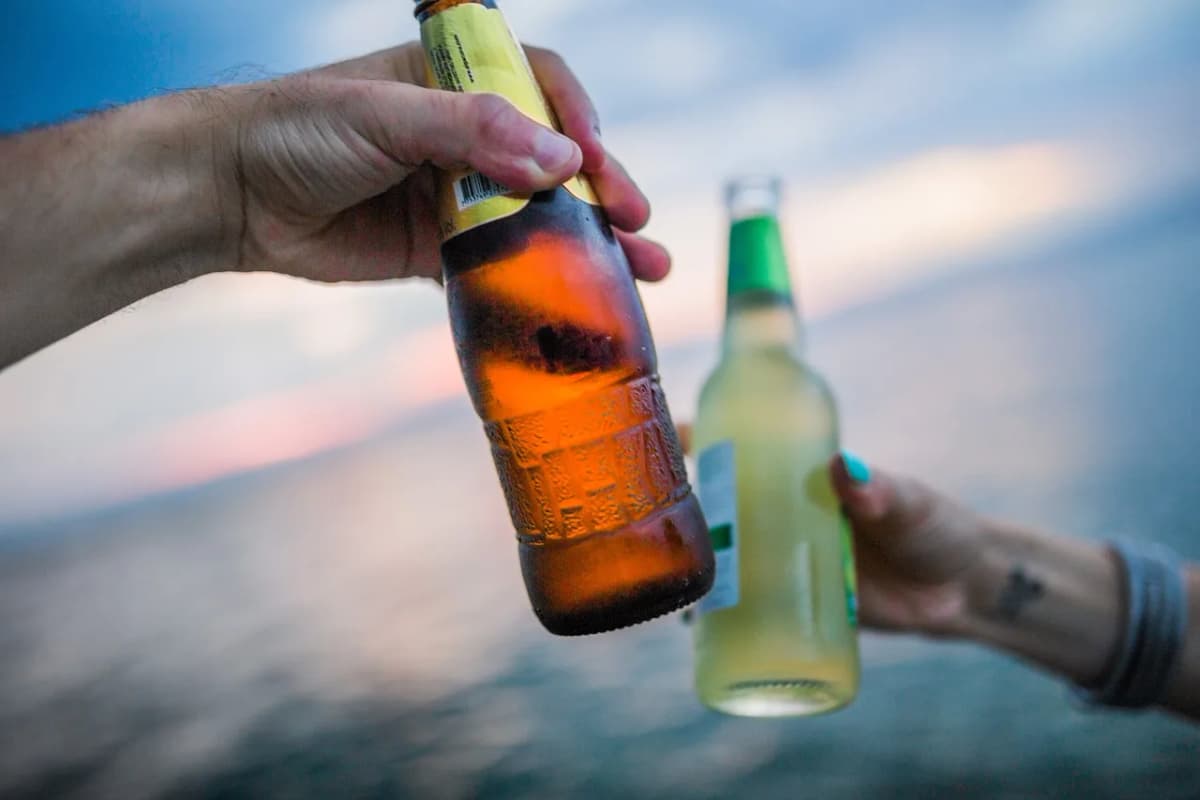 Two people clinking bottles together in a toast