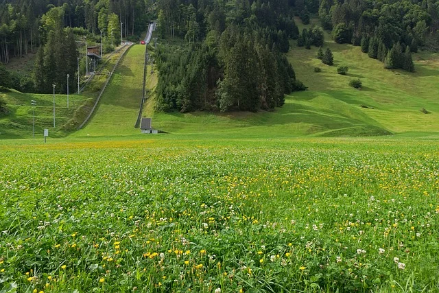 A ski jumping hill set in a green mountain landscape, representing the venues where ski jumpers like Kamil Stoch compete