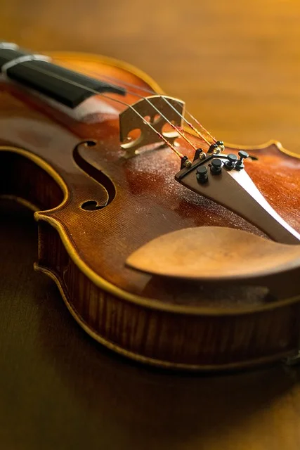 Close-up of violin strings and bow