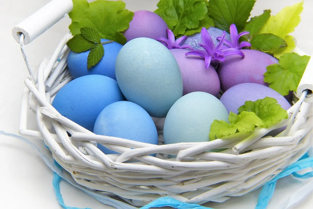 Dyed Easter eggs in blue and purple arranged in a basket with spring flowers and leaves